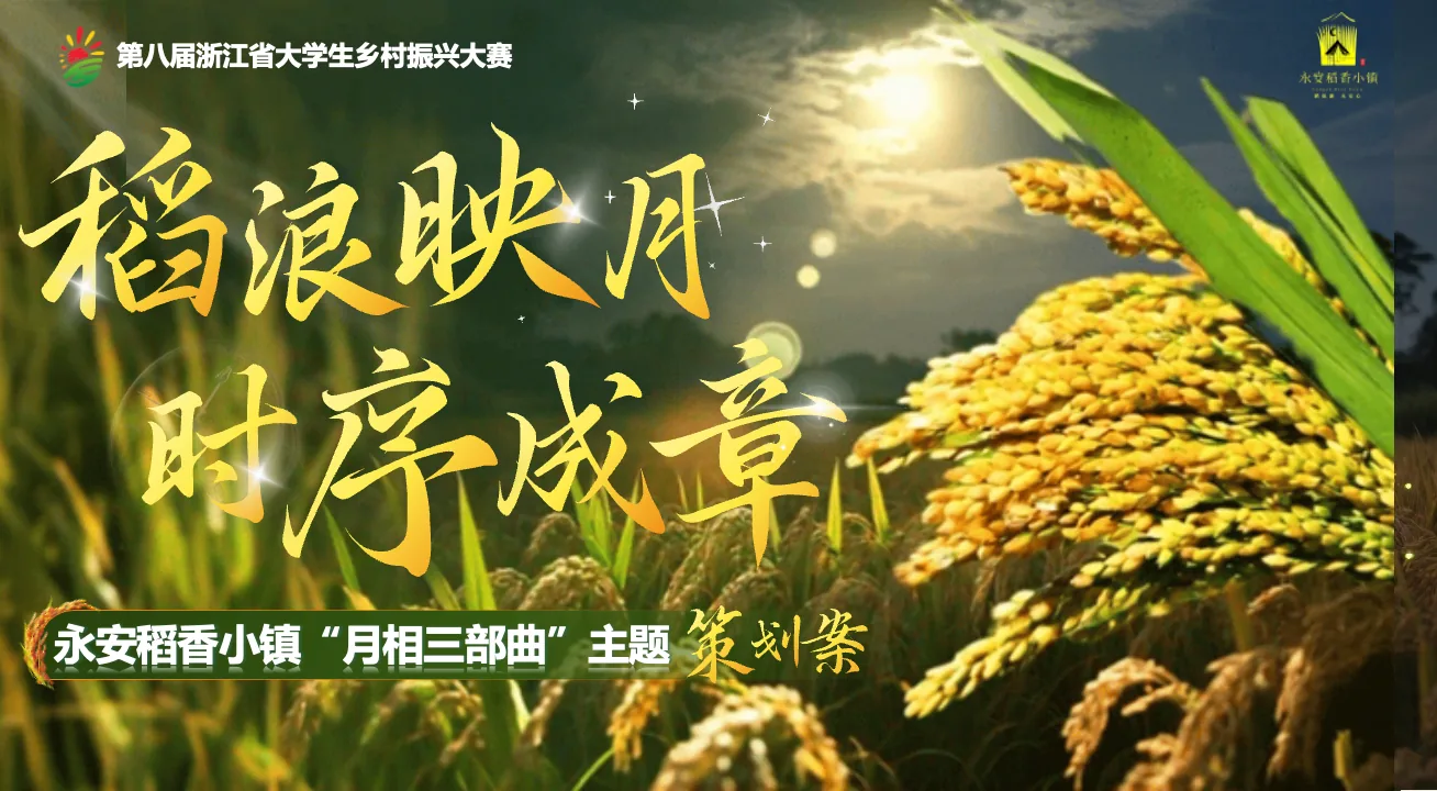 永安村项目封面